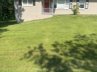 Joey M.'s grass cutting service result