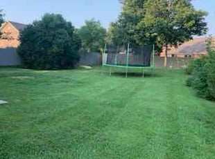 Walterina B.'s lawn care services service result