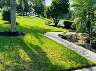 Johnny M.'s Mulching service result
