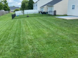 Sarah P.'s turf maintenance service result