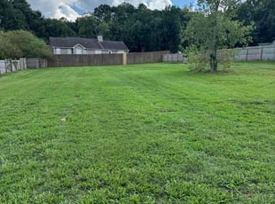 Deborah W.'s lawn maintenance service result