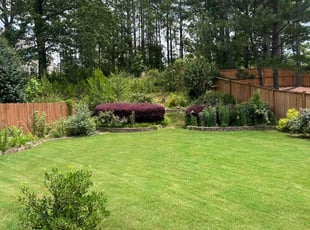 Hollie C.'s gardening service service result