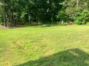 Lynn S.'s grass cutting service result