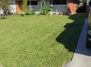 Janell L.'s lawn service service result