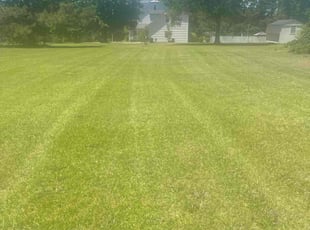 Stephen D.'s turf care service result