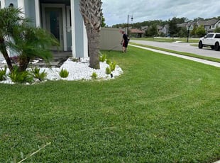 Zach M.'s turf care service result