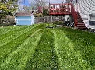 Joseph D.'s lawn service service result