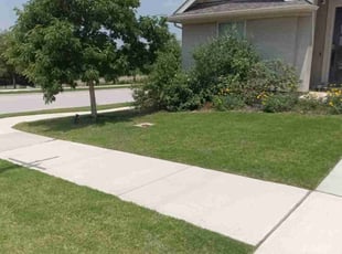 Lauren G.'s turf maintenance service result