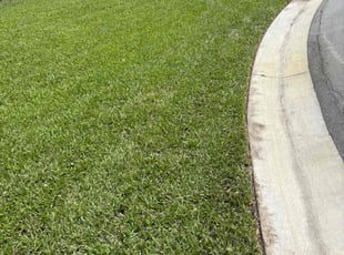 Brad P.'s grass cutting service result