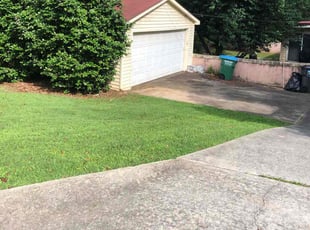 Ashley C.'s lawn care service result
