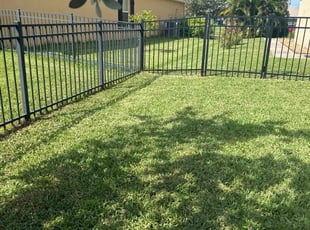 Sandra M.'s turf maintenance service result