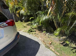 Joan P.'s Leaf Removal service result