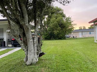 Harold R.'s grass maintenance service result