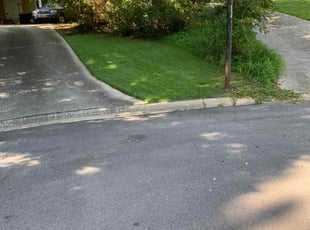 Michael E.'s lawn maintenance service result