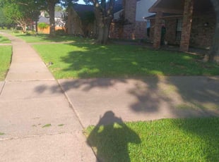 Georgina W.'s turf care service result