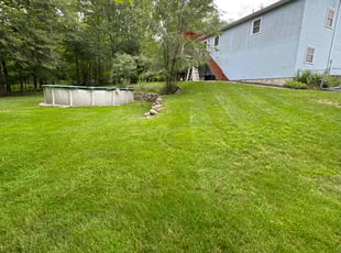 Quintara J.'s turf care service result