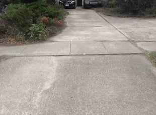 Kirk A.'s Long Grass Cleanup service result