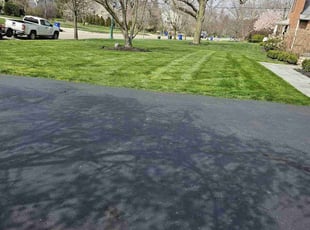 Katelia R.'s yard service service result