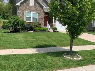 Taylor T.'s lawn maintenance service result