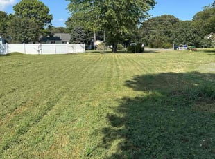 Kaytie V.'s lawn care service result