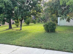Tiffany E.'s lawn care services service result