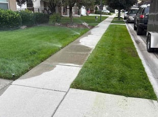 Joy Z.'s turf care service result