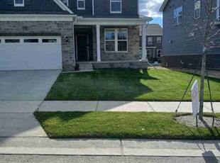Michelle R.'s lawn maintenance service result