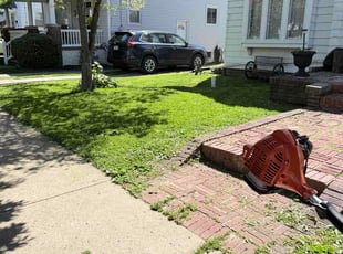 Andrea M.'s lawn maintenance service result
