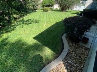 Belle A.'s Long Grass Cleanup service result