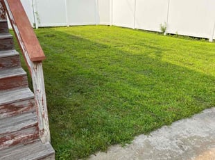 Jeanette R.'s turf maintenance service result