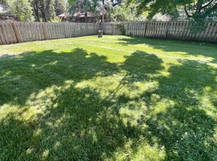Falicha B.'s lawn care service result