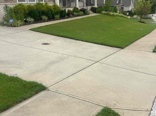 Dottie M.'s grass cutting service result