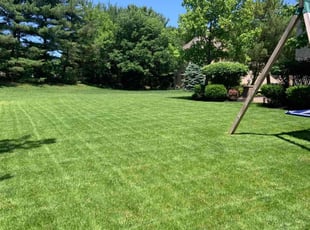 Nicole S.'s turf care service result