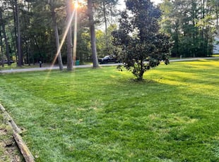 Kayleigh Y.'s lawn maintenance service result