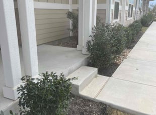 Laverne M.'s Bush Trimming service result