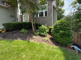 Elizabeth R.'s Flower Bed Weeding service result