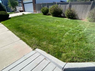 Paul B.'s lawn service service result