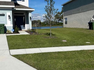 Kyle H.'s turf care service result