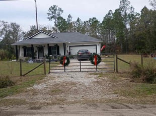 Misty T.'s turf care service result