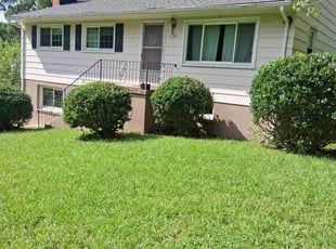 Terry B.'s Bush Trimming service result