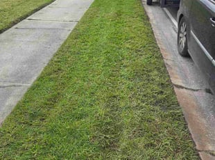 Stephen H.'s Weeding service result