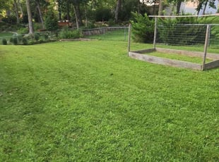 Holly K.'s grass maintenance service result