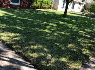 Janet L.'s grass maintenance service result