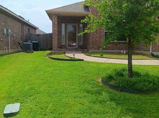 Alex T.'s lawn care service result