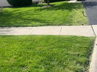 Dawn B.'s lawn service service result