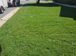 Lauren W.'s turf maintenance service result