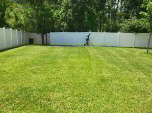 Belle G.'s turf maintenance service result