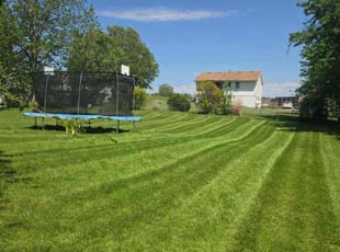 Bill M.'s lawn care service result