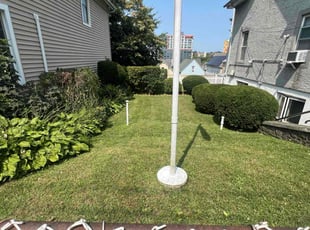 Aaron C.'s lawn care service result