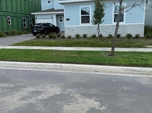 Coby D.'s turf care service result